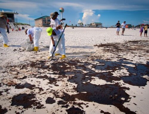 DeSantis: Trump’s oil drilling could ‘weaken’ environment, military training