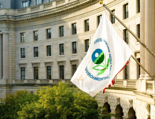 Why We Need Environmental Regulations