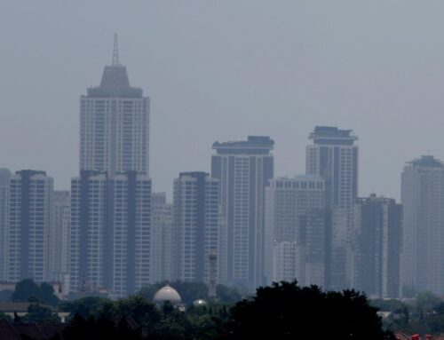 Environmental triggers as significant as genetics for disease development