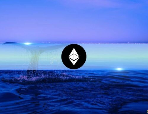 Ethereum’s Biggest Whales Just Hit a Record High – What Are They Preparing For?