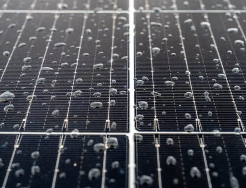 Chugach Electric moves ahead with plans to develop what could be Alaska’s largest solar fa