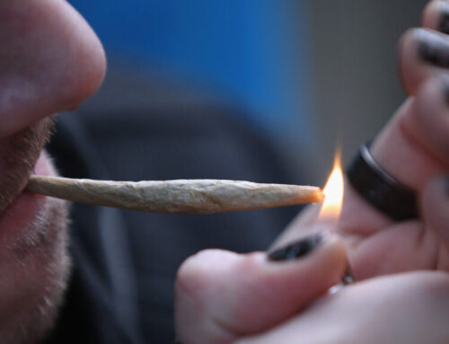 ‘California sober’? Cannabis may help limit alcohol consumption, study shows