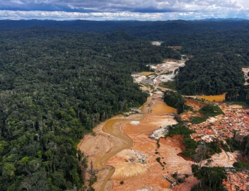 Environmental Crime Is a Critical Threat to the Americas