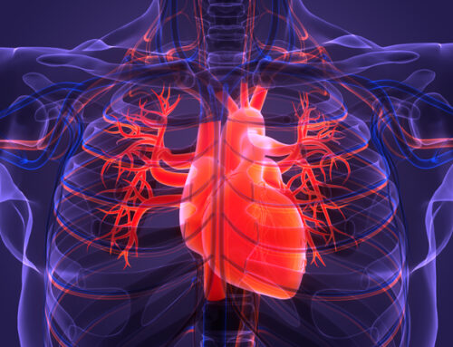 Poland’s high cardiovascular mortality linked to environmental risks