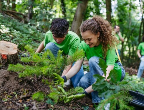 Explore jobs helping the environment this Green Careers Week