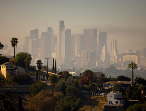 Growing Tensions with Air Regulator Lead Top California Environmental Justice Advisor to R