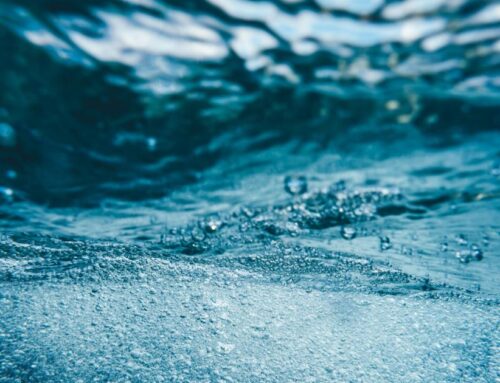 Dialogues to begin on ensuring sustainable water management