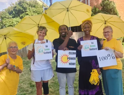 With federal climate progress stalled, Simplify Solar advances local solutions