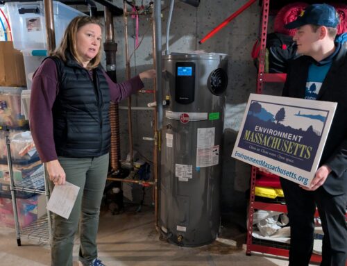 Massachusetts households embrace clean energy technologies