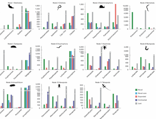How Did Earth’s Animal Life Transition From Aquatic To Terrestrial Environments?