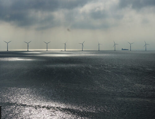 Fighting Poverty With Renewable Energy in Grenada