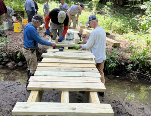 Adirondack Garden Club awards environmental grants