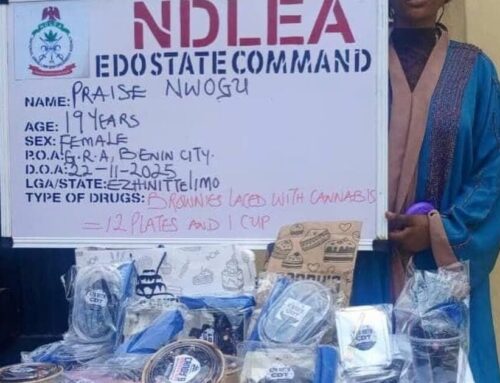 NDLEA arrests influencer over online sale of cannabis-laden cookies