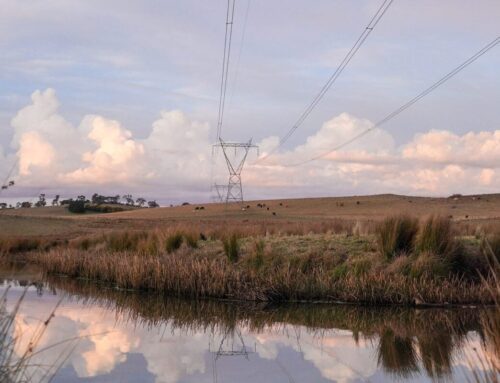 EnergyCo shortlists three consortia for New England REZ network operator tender in New Sou