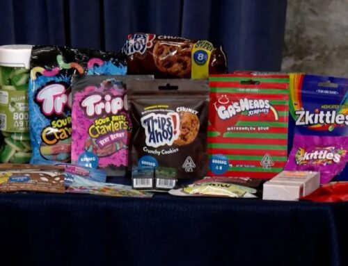 Cannabis industry: intoxicating hemp persists despite Alaska court ruling