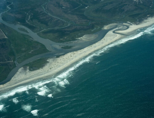 Sea Level Rise, Part 5: The environment sees no borders