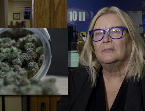 ‘Will of the People’: UNMC pharmacologist on medical cannabis safety, applications