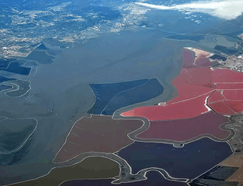 Echoes From the Past: How Land Reclamation Slowly Modifies Coastal Environments