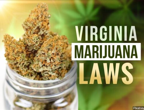 Adult cannabis retail system set to move from studies to implementation