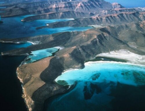 Mexico environmental restoration vows at the Sea of Cortez