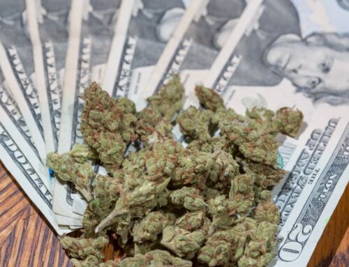 West Virginia’s High Medical Cannabis Prices Push Patients To Buy Recreational Marijuana I