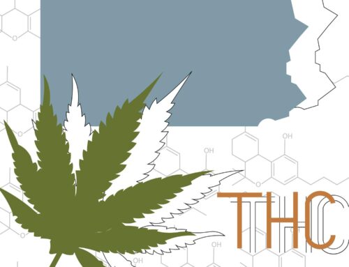 Opinion | We need to regulate the cannabis market