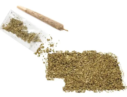 Tribal cannabis showdown brewing in Nebraska