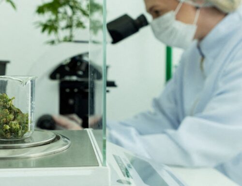 Brazil’s agricultural research agency gets cannabis research greenlight