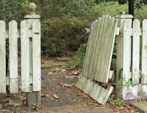 Perplexity’s Agents Crash Amazon’s Gate and Spark a Legal Showdown