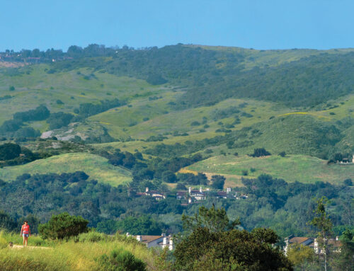 Greenest city in Southern California