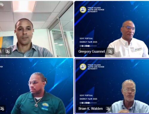 Renewable Energy Takes Centerstage at Virtual WAPA Summit