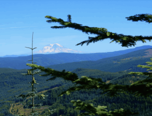 Ecology taking an early look at geothermal energy in Washington