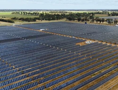 Apple Invests in Renewable Energy, Forest Projects in Australia and New Zealand