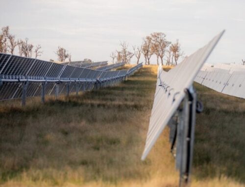 Energy retailer Flow Power signs offtake deal with 400MW Stubbo Solar project in Australia
