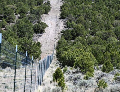 Billionaire ranch owner violated Colorado environmental laws during construction of contro