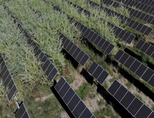 Napa Valley College’s $7.5 million solar field was once a model. Now it sits dead in the w