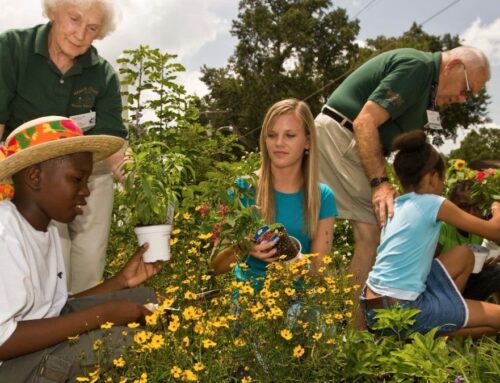 Pinellas preserves UF extension program educating on environment