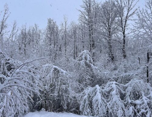 Environment Canada caught off guard as Montreal hit harder than expected by snowstorm