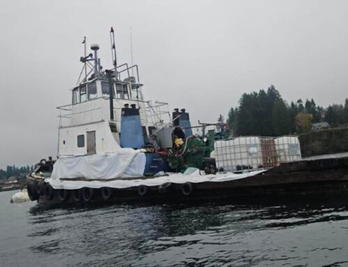 Derelict tugboat causing environmental concerns in Kingston