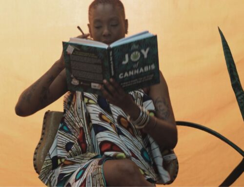 Harlem’s Legal Cannabis Industry: NYC’s Quiet Economic Engine