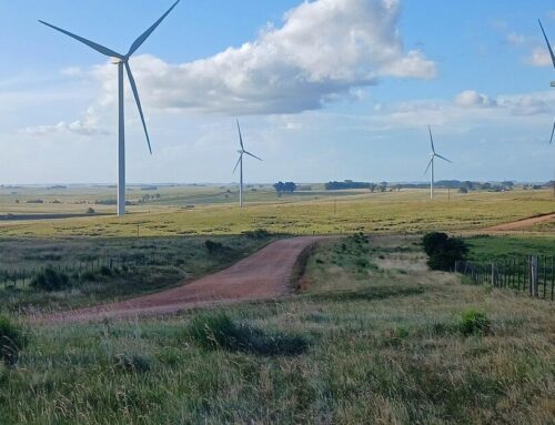 Uruguay Achieves 99% Green Energy After Seeking the Lowest Price for Consumers