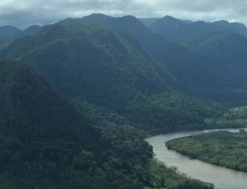 What’s at stake for the environment in Honduras’ presidential election?