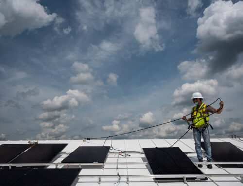 The Winning Formula: Voters Choose Candidates Who Show Energy Can Be Both Affordable and R