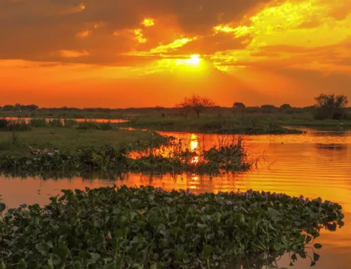 The call for the Santa Fe environmental fund is now open: $14 million offered for natural