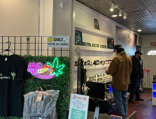 St. Paul seeks cannabis manager to help new businesses