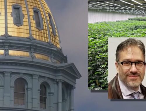 ‘Will of the People’: Colorado economist on the ups and downs of recreational cannabis