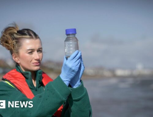 Firms ordered to reduce forever chemicals in drinking water for 6m people