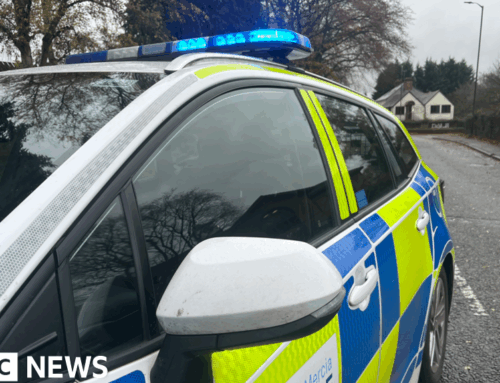‘Hundreds’ of cannabis plants found underground