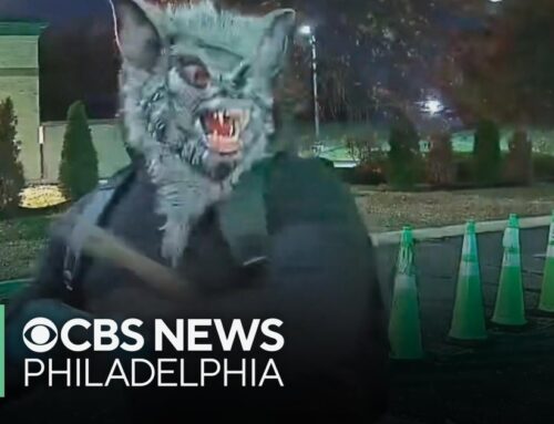 Man wearing a wolf mask wanted for allegedly robbing cannabis dispensary in New Jersey