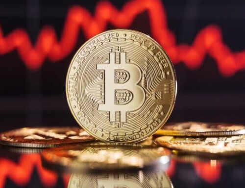 If You Invested In Bitcoin What You Spent Hosting Thanksgiving Dinner In 2023, Here’s How